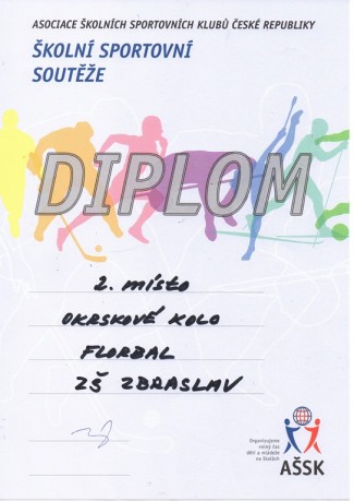 Diplom florbal 2019