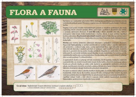 flora-a-fauna