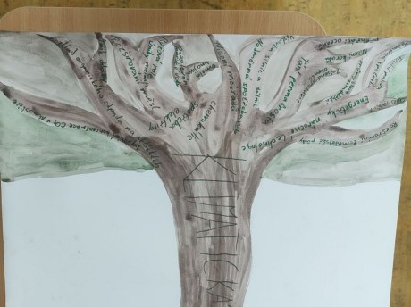 IMG-20251121-WA0015 [1600x1200]