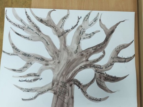 IMG-20251121-WA0013 [1600x1200]