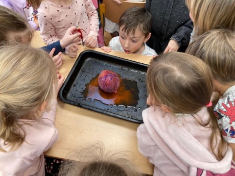 1000042539 [1600x1200]