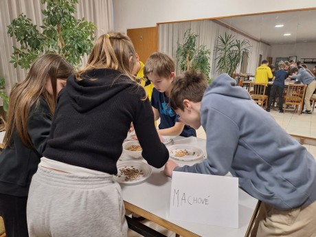 20260327_175230 [1600x1200]