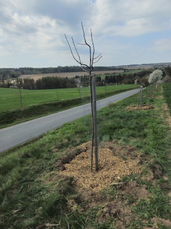 20260417_102835 [1600x1200]