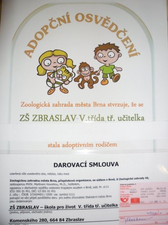 7 Adopce papouška zpěvavého