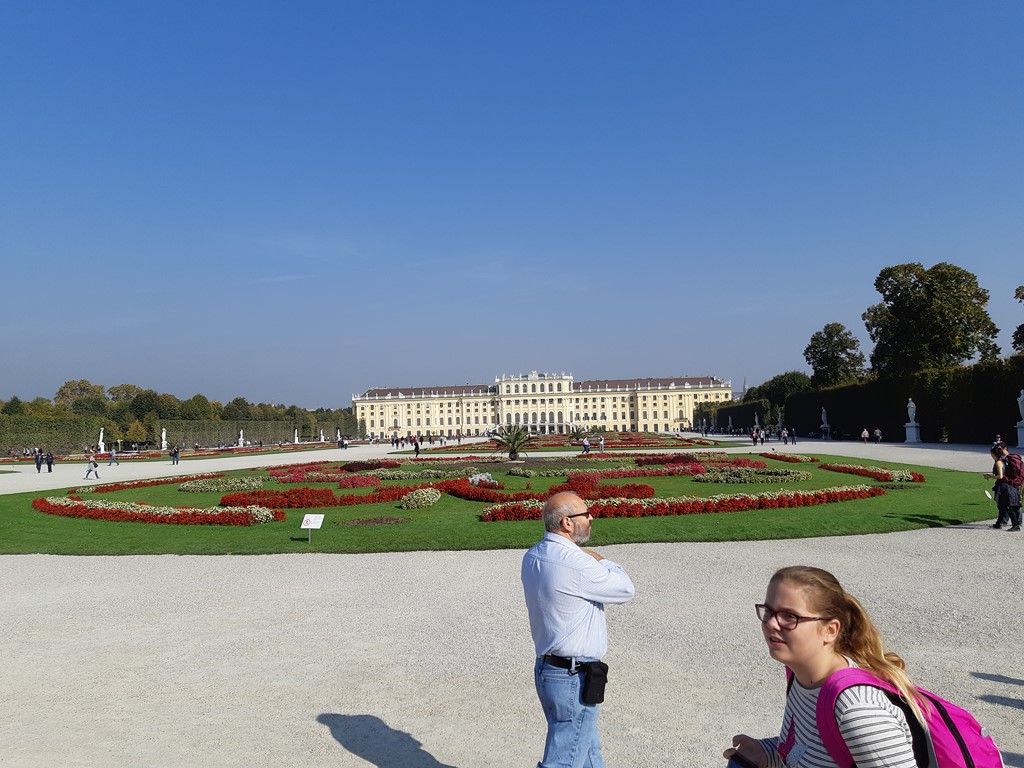 20181009_111547(0)