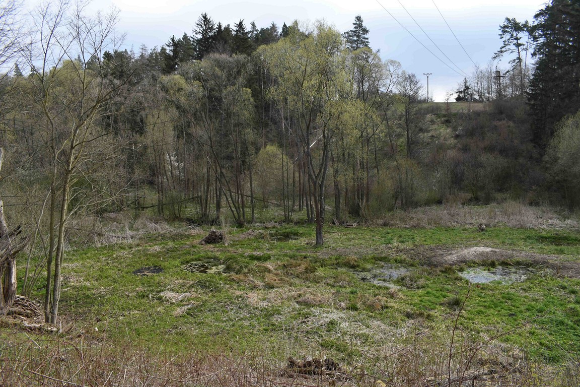 DSC_0347