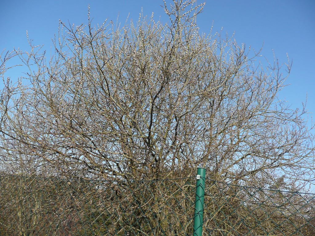 P1090913