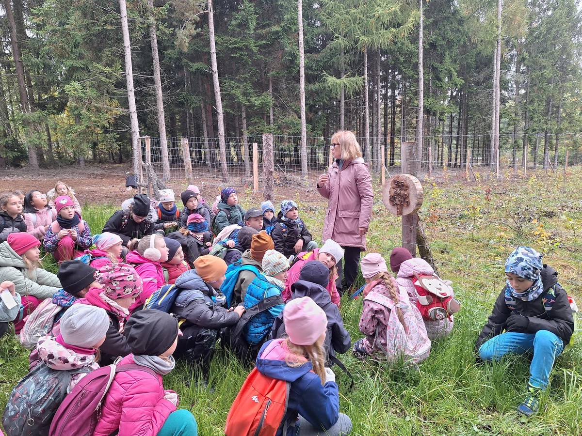 20251015_083521 [1600x1200]