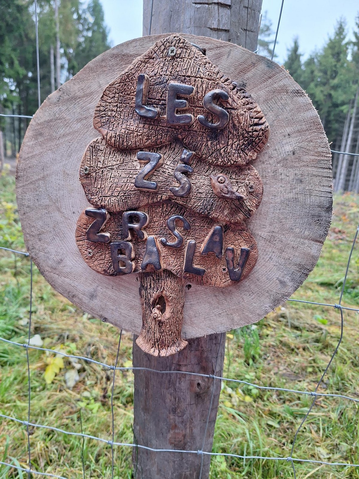 20251015_083633 [1600x1200]