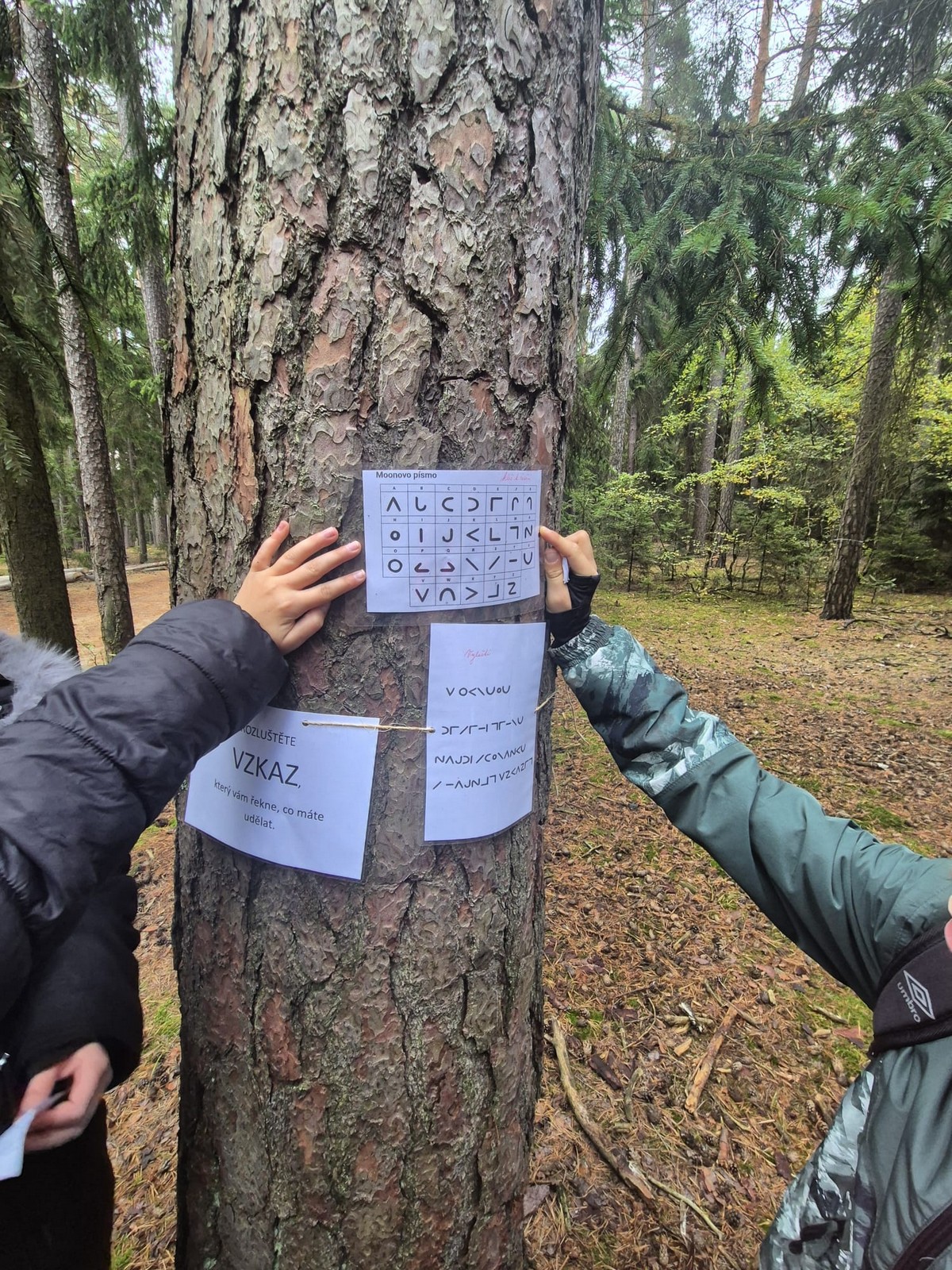 IMG-20251015-WA0028 [1600x1200]