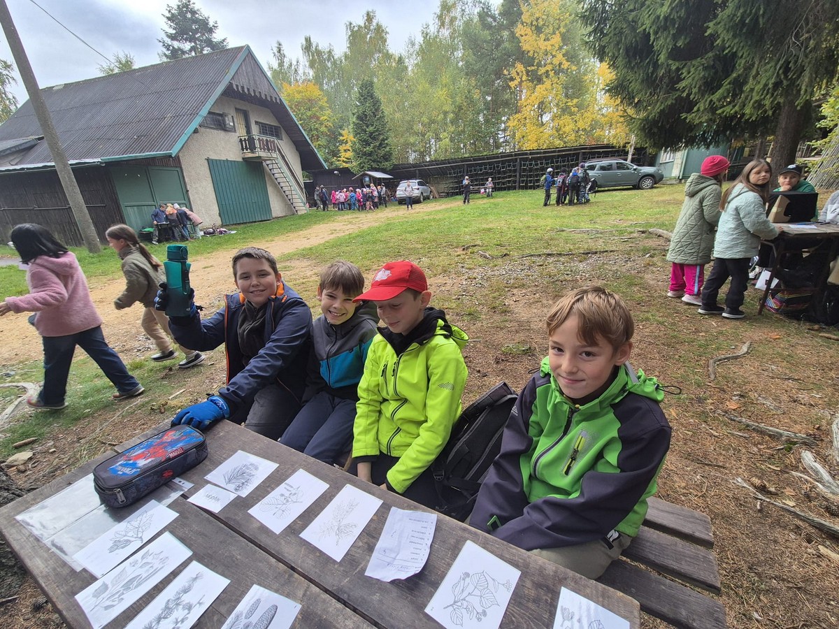 IMG-20251015-WA0043 [1600x1200]