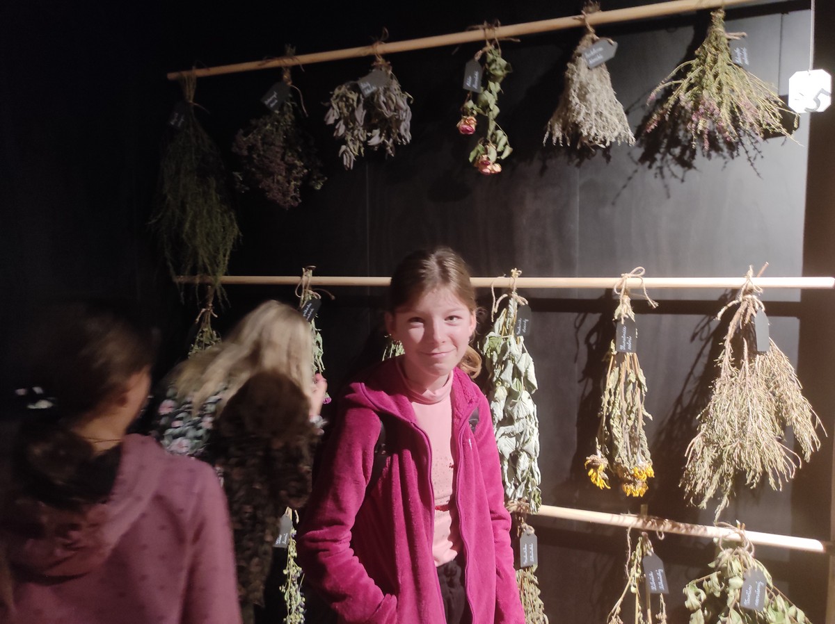 IMG_20251030_092344 [1600x1200]