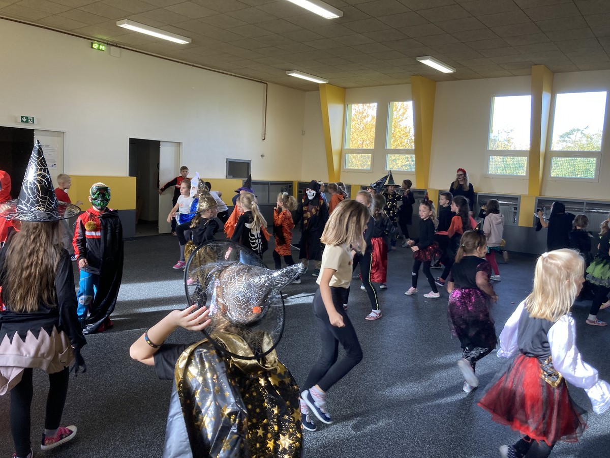 IMG_8419 [1600x1200]