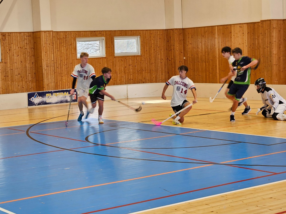 20251107_110100 [1600x1200]