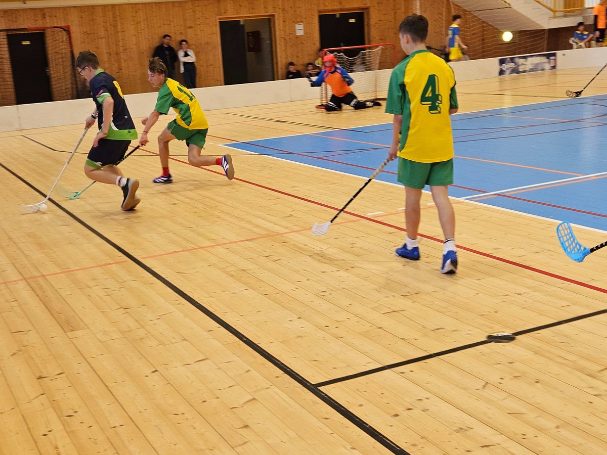 20251107_120414 [1600x1200]