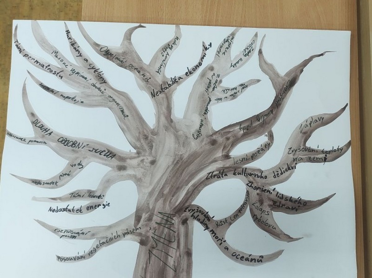 IMG-20251121-WA0013 [1600x1200]