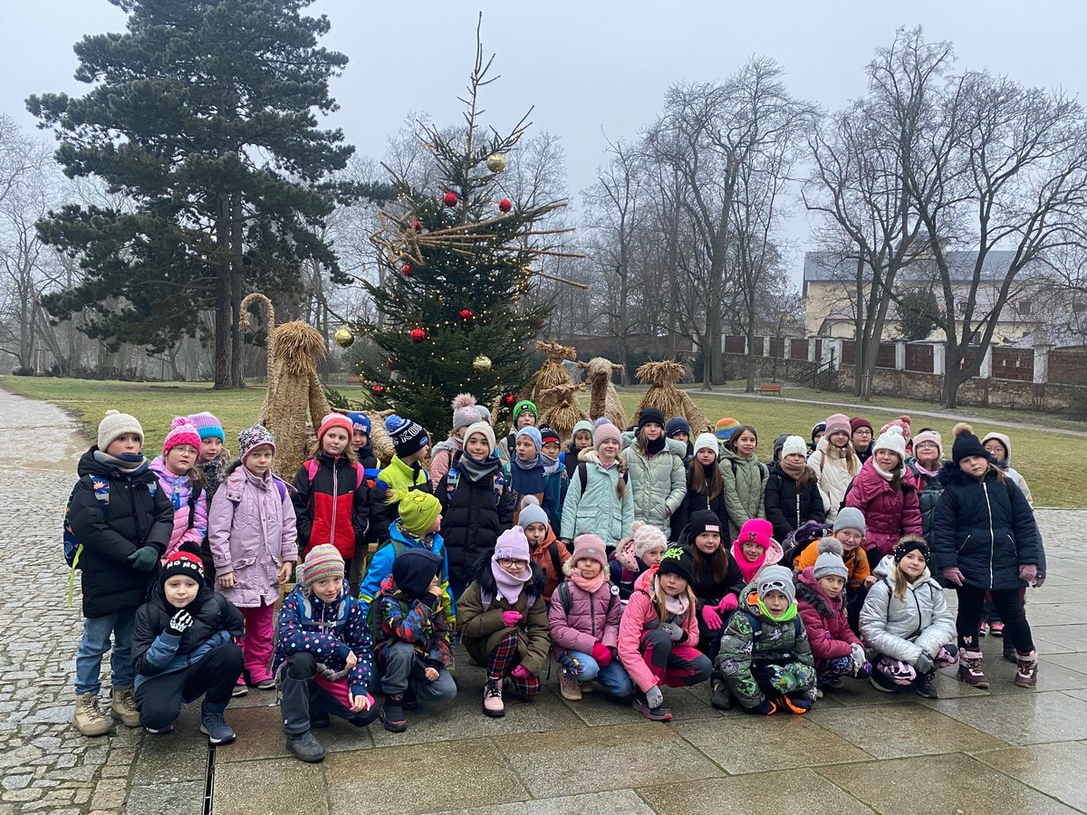 IMG_6146 [1600x1200]