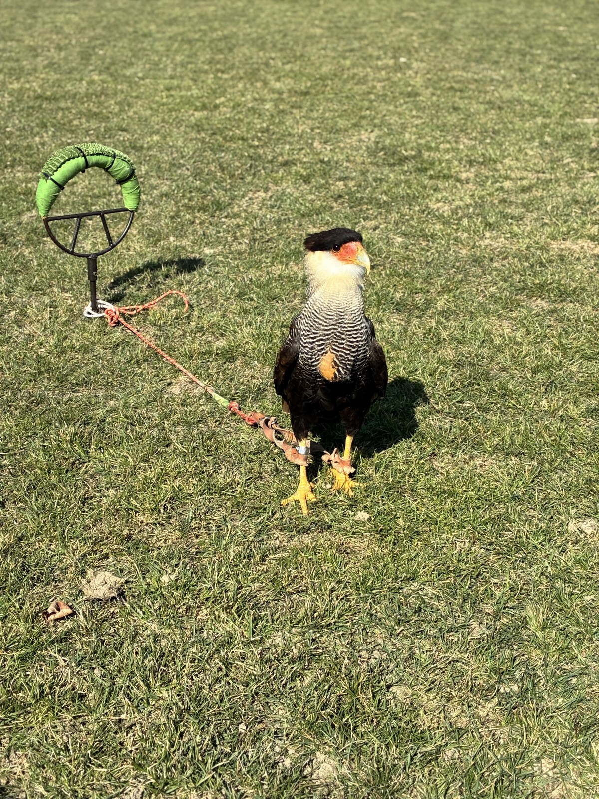 IMG_4090 [1600x1200]