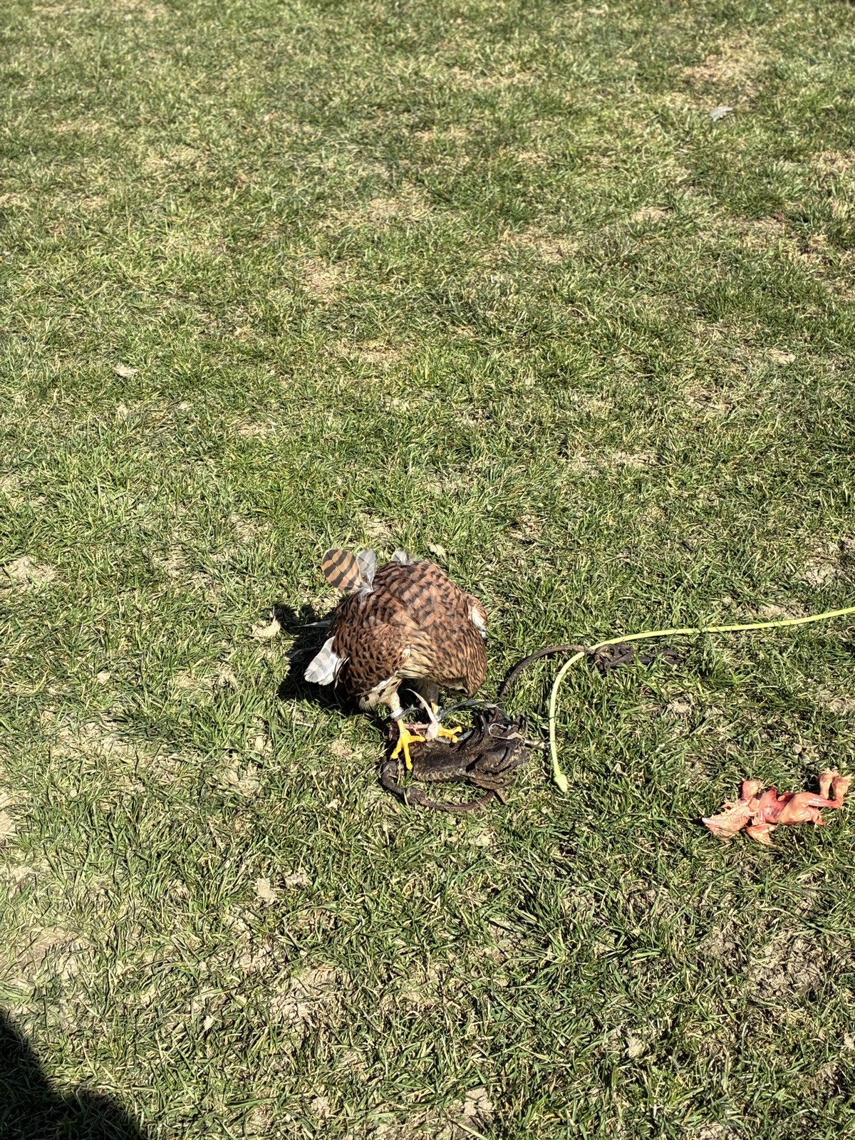 IMG_4091 [1600x1200]