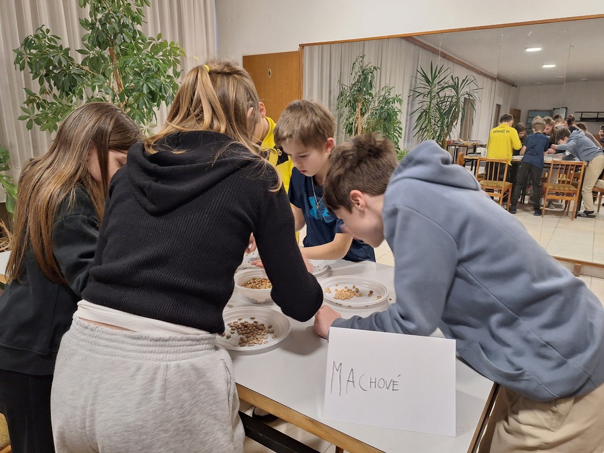 20260327_175230 [1600x1200]