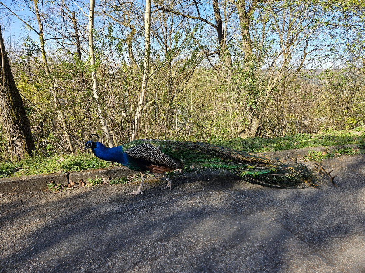 20260409_092639 [1600x1200]