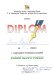 diplom_Lenka