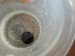 15 - voda umí přeměnit začerněnou minci ve stříbrnou  (10)